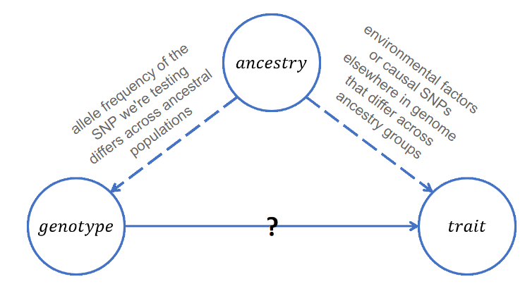 Above is an simple DAG graph